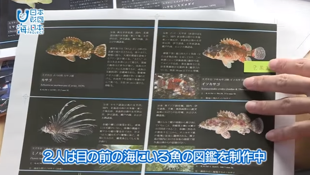 #19 磯へGO！目の前の海の魚まるごと図鑑｜海と日本PROJECT in 鹿児島