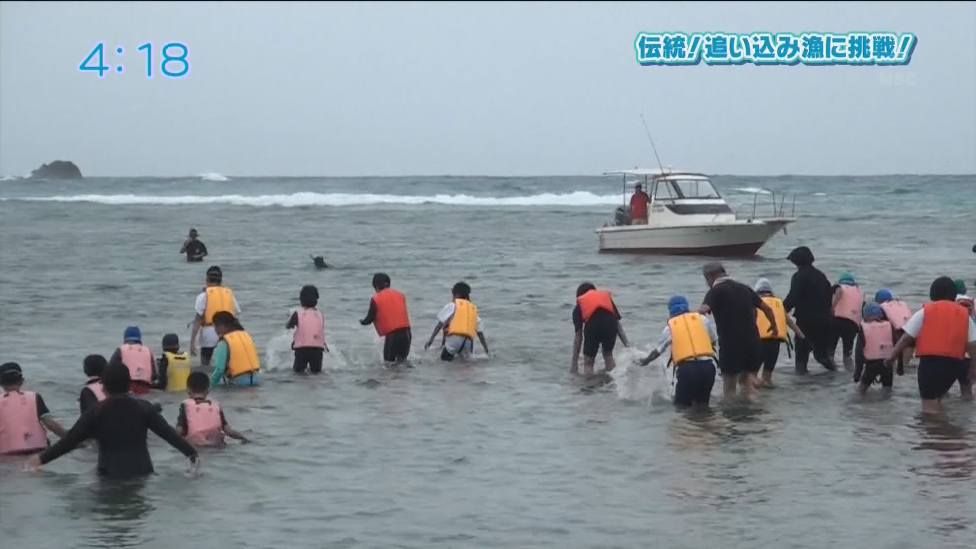 奄美市名瀬で行われる島伝統の漁法 追い込み漁 とは 海と日本project In 鹿児島