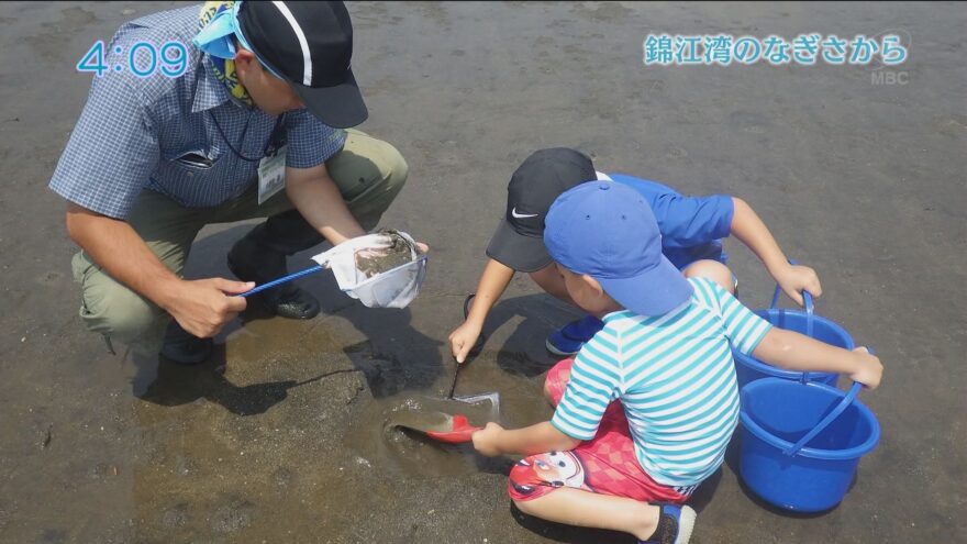 錦江湾のなぎさから「夏休みは干潟に行こう！」