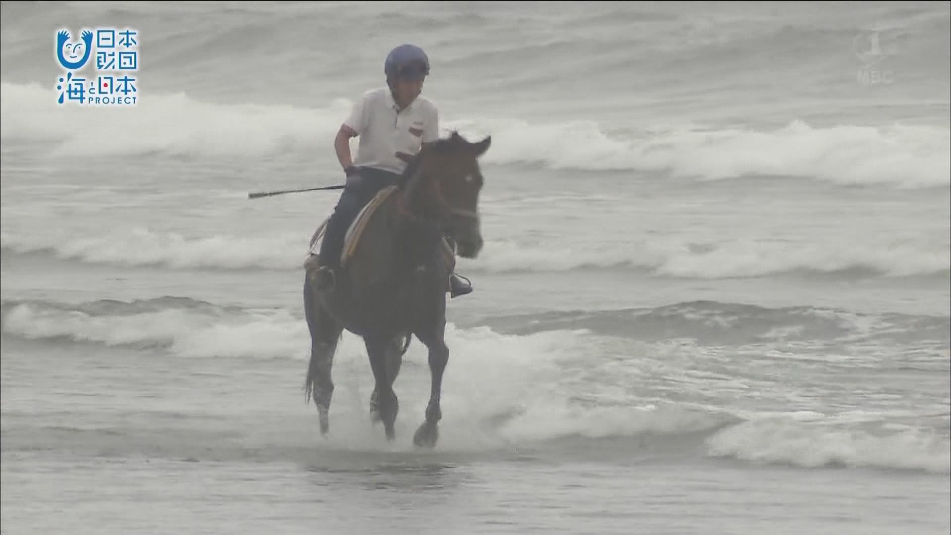 大崎町横瀬海岸、全国でも珍しい競走馬の海岸調教