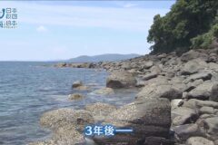 深刻な環境問題「阿久根のウニ」の生息する海を守る取り組み