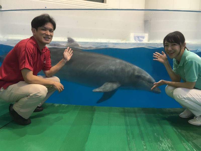 かごしま水族館の夏休みイベントを ポニーメイツがご紹介 海と日本project In 鹿児島