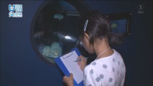 我は海の子2日目「生物の多様性を学ぶ」いおワールドかごしま水族館