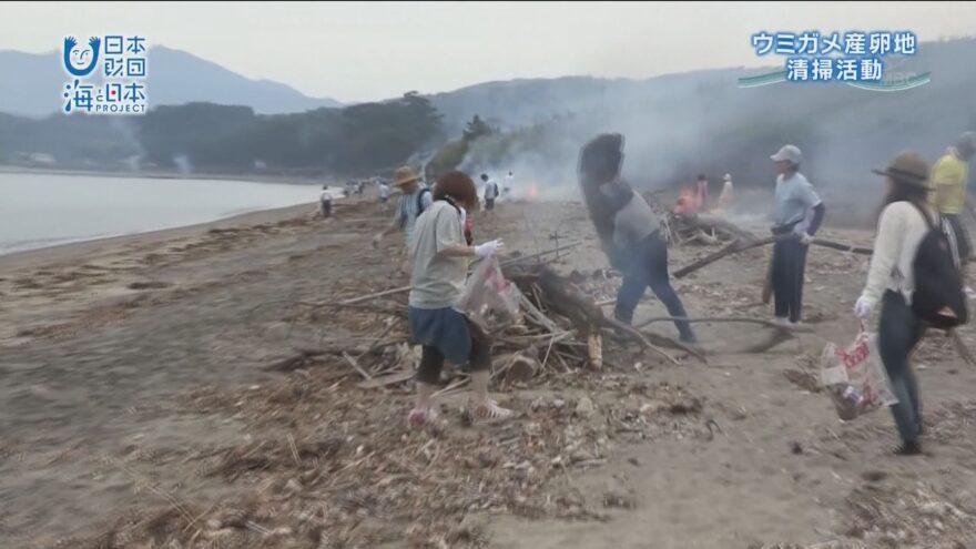 ウミガメの産卵地、鹿屋市・浜田海岸で海岸清掃