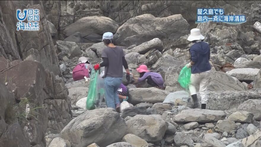 屋久島で島内一斉に海岸清掃