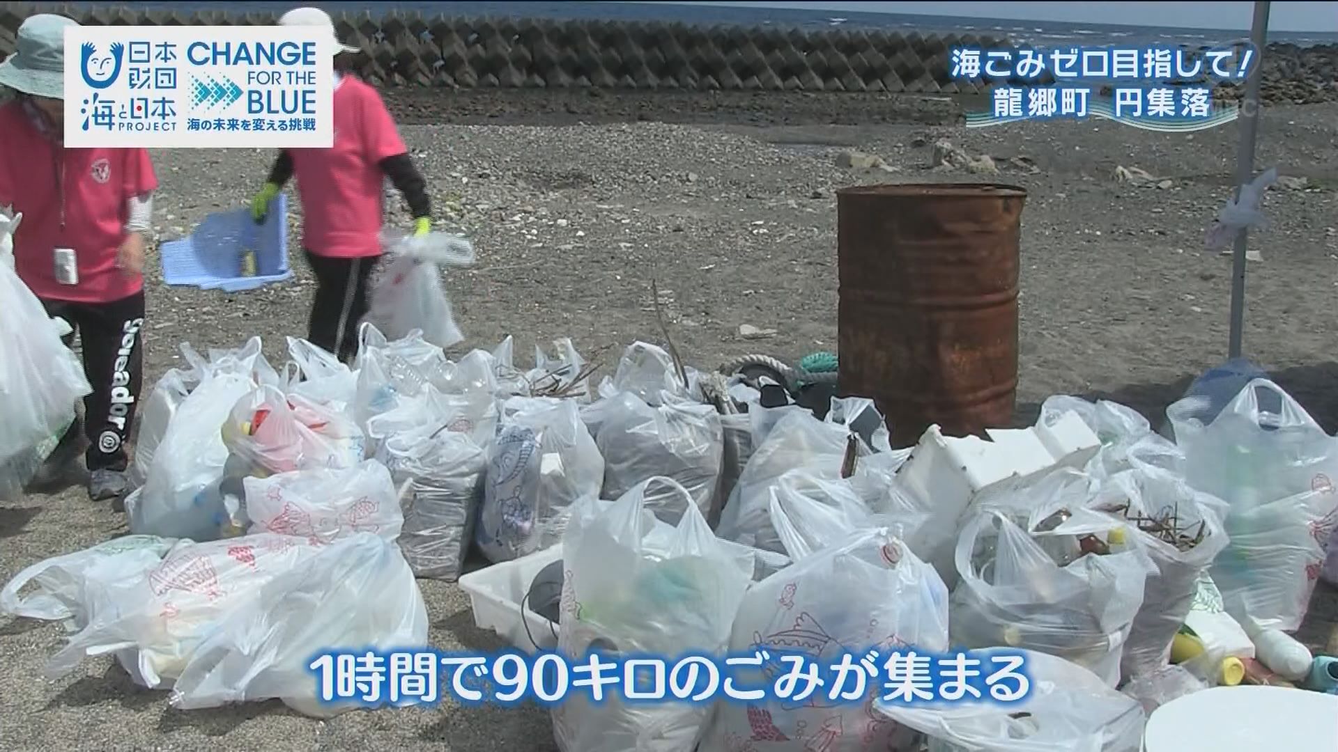 【かごしま4】江口浜と龍郷町で海岸清掃