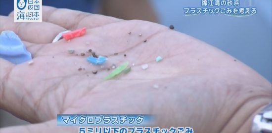 錦江湾に漂う「プラスチックごみ」について考えた学習会