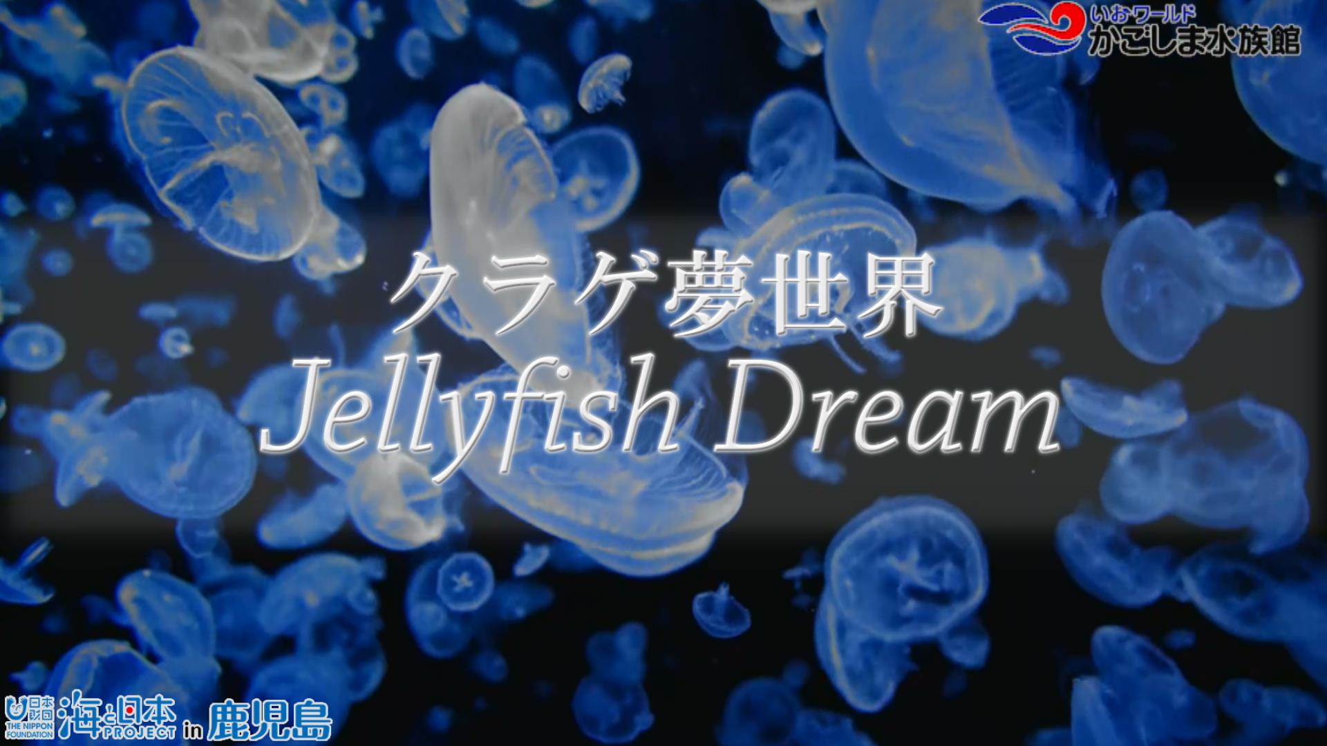 【おうちで水族館】『JellyfishDream~クラゲ夢世界~』いおワールド かごしま水族館×海と日本PROJECT in 鹿児島