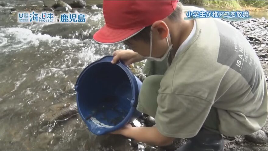 海につながる川での活動　小学生が稚アユを放流