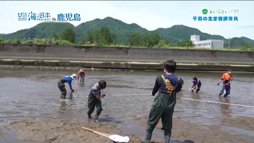 干潟の生き物調査員