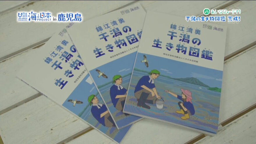 「錦江湾奥 干潟の生き物図鑑」完成【NPOくすの木自然館】