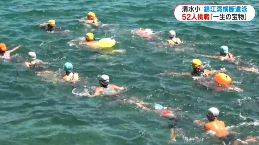 【錦江湾横断遠泳】錦江湾4.2キロ横断遠泳に小学生が挑戦