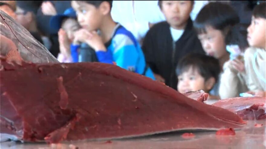 鹿児島中央卸売市場 90周年　お魚ファン感謝デー